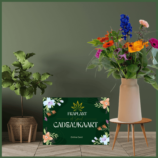 Zomerse geschenken voor vrienden en familie