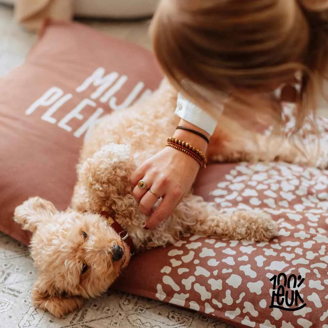 Honden- Kussen Groot