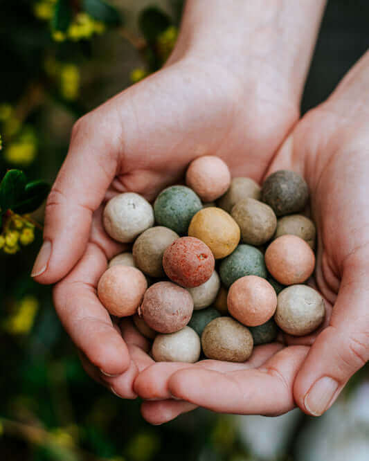 Hand holding colorful seed bombs ready for planting, surrounded by greenery in the background.