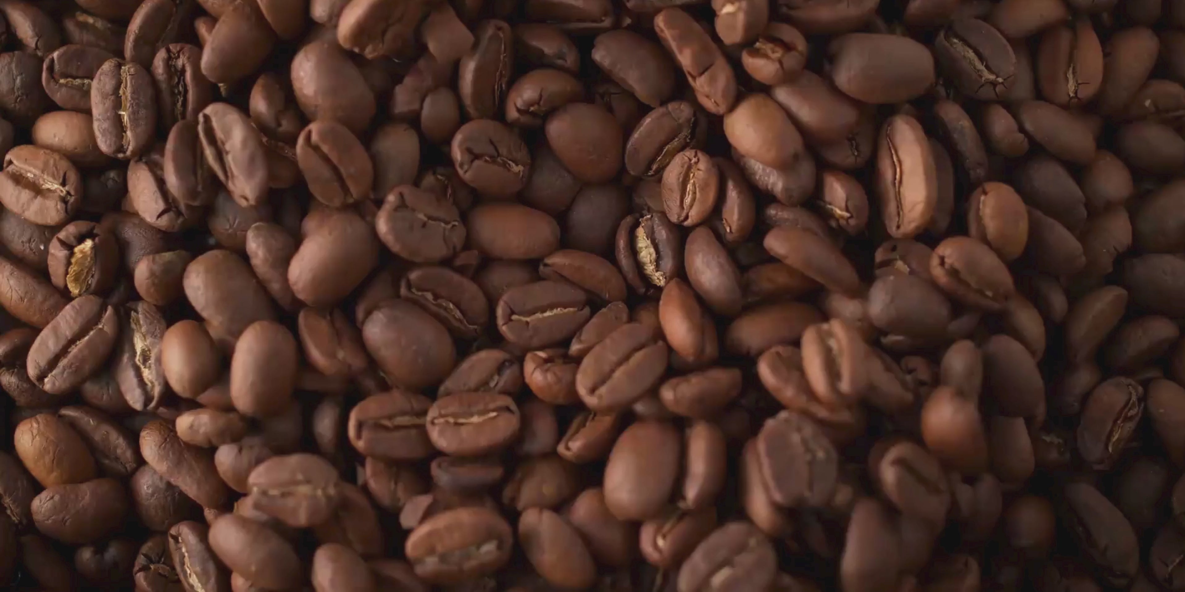 Video laden: Selectie van verfijnde thee bij Wagemakers