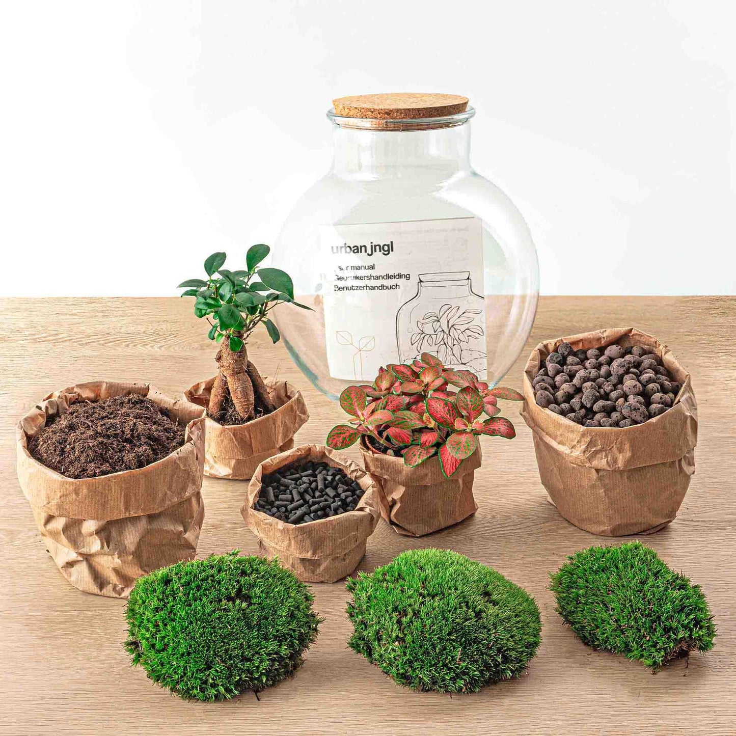 DHZ terrarium - Teddy bonsai - ↕ 26,5 cm - Hark + Schop + Pincet + Schaar