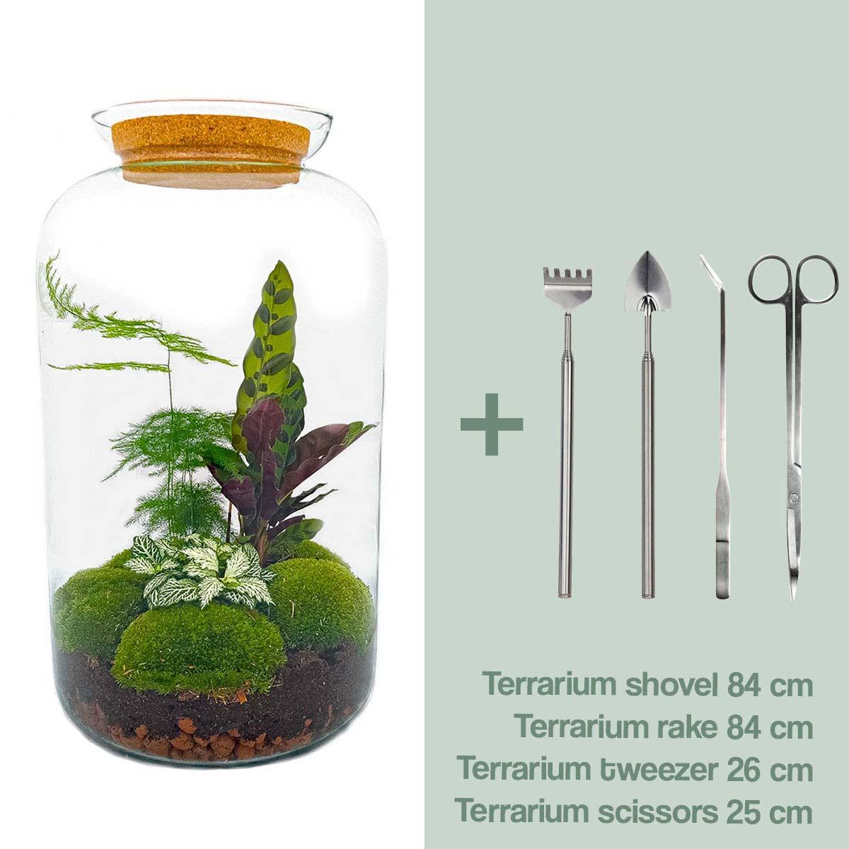 DHZ-terrarium - Botanisch Sven XL - ↕ 43 cm - Normaal
