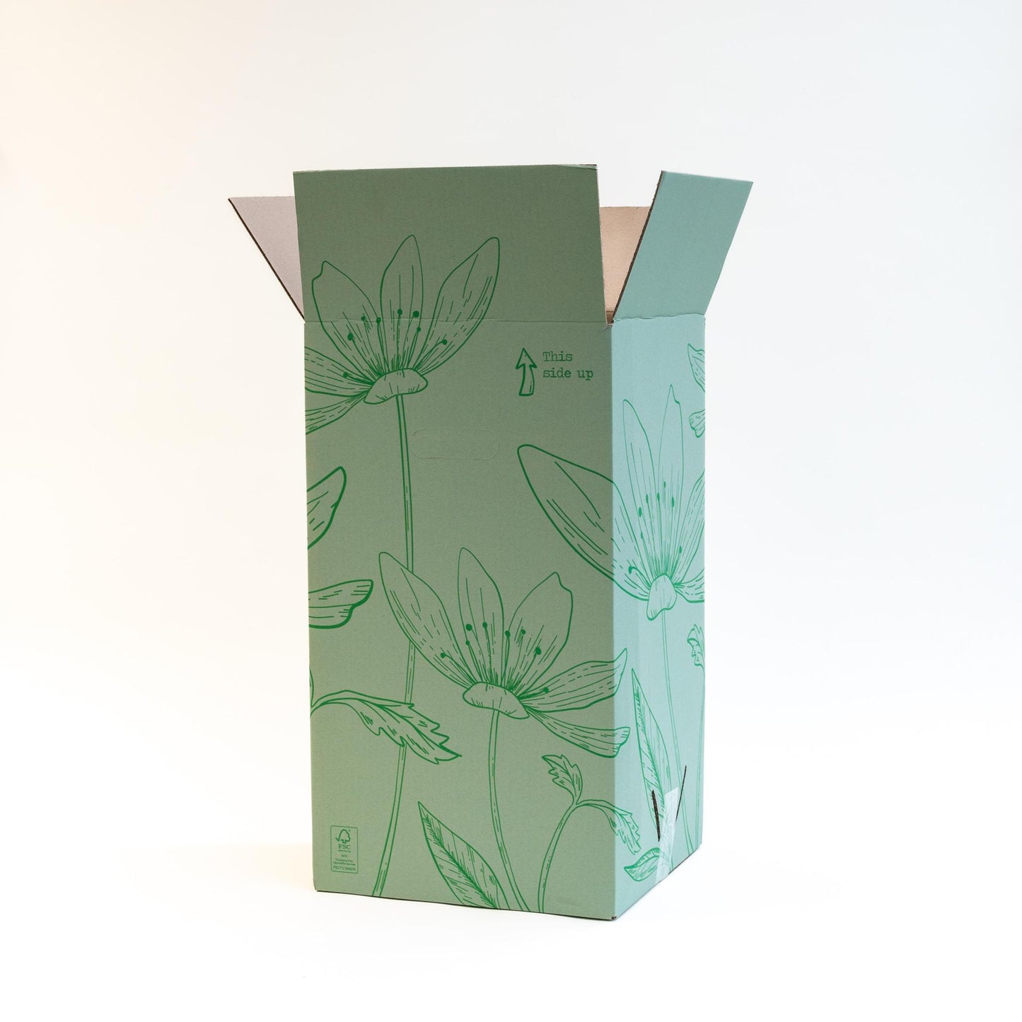 Plant Monstera with velvet pot