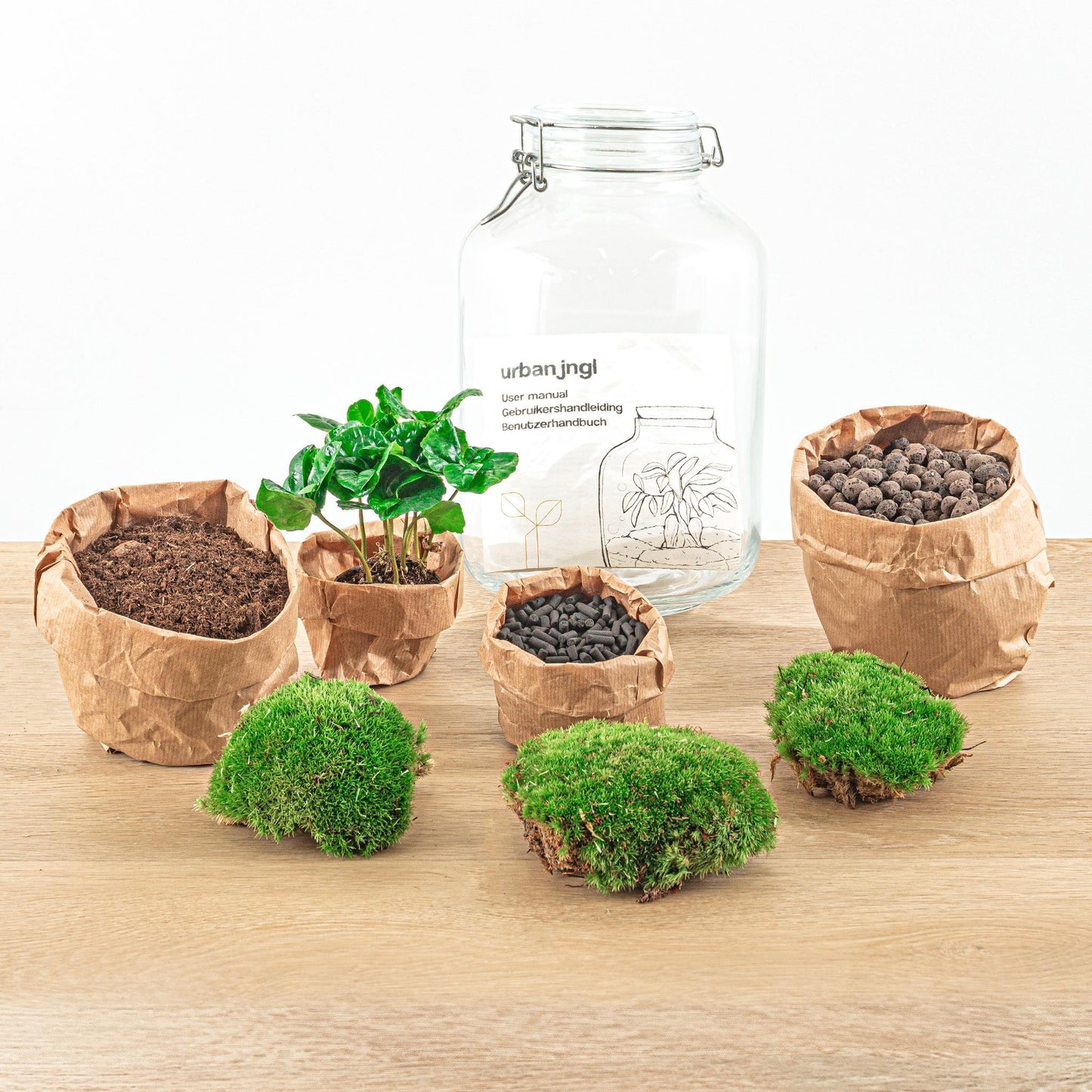 DHZ terrarium - Pot - Coffea Arabica - ↕ 28 cm - Hark + Schop + Pincet + Schaar