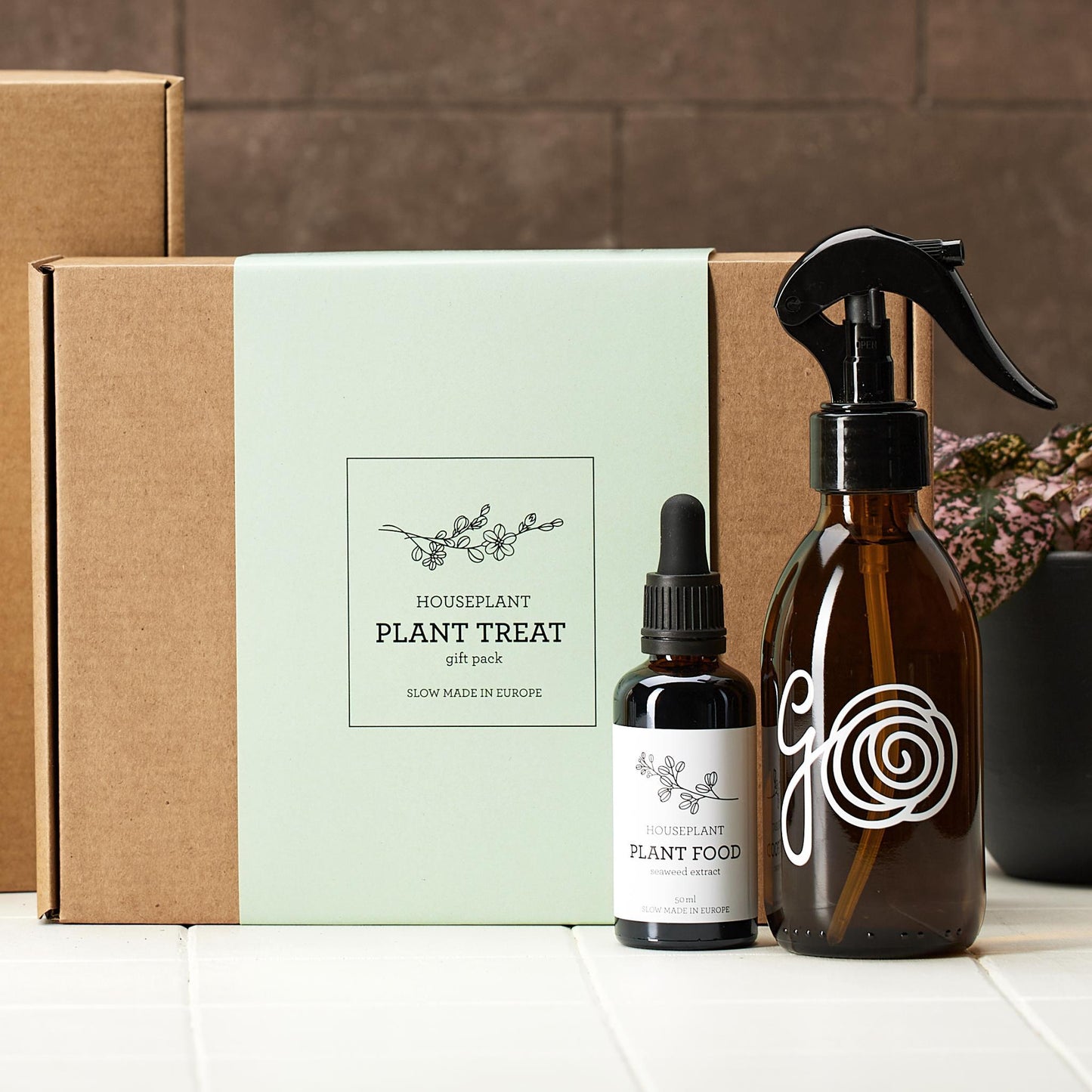 PLANT TREAT | PLANT NURTURE KIT