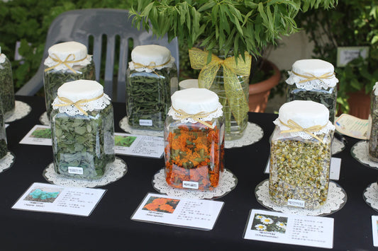 Diverse DIY Terrarium Pakketten voor Groen in Huis