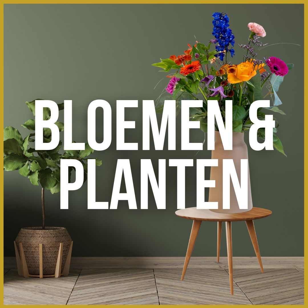 Bloemen - Planten - Vazen - Cadeau