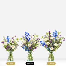 Feestelijk Blauw Sophie