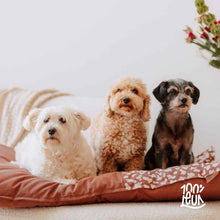 Honden- Kussen Groot