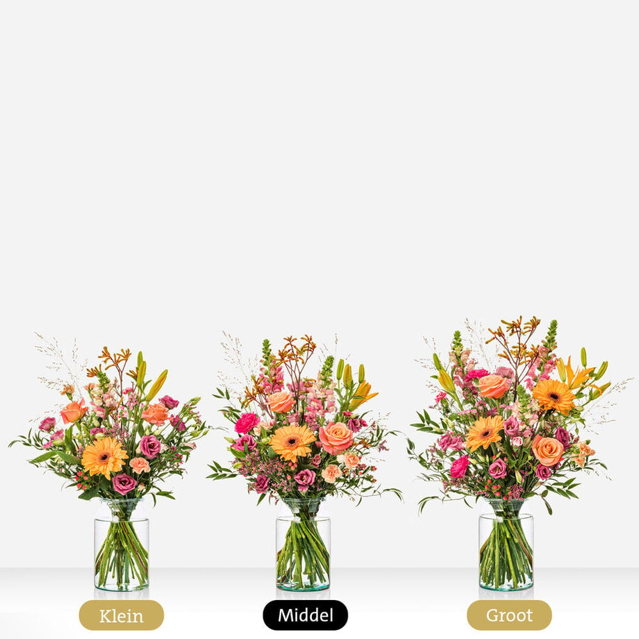 Cadeauset Feestelijk genieten Nova