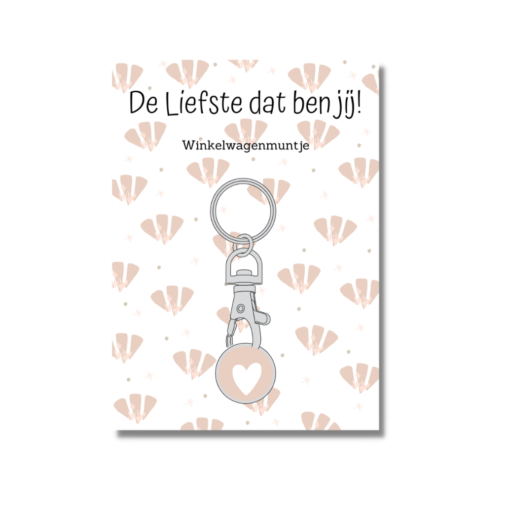 6x Winkelwagenmuntje
