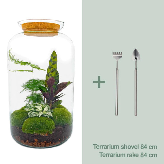 DHZ terrarium - Botanisch Sven XL - ↕ 43 cm - Hark + Schop