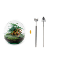 DHZ Kit terrarium - Dome Rood - ↕ 20 cm - Hark + Schop