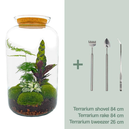 DHZ terrarium - Botanisch Sven XL - ↕ 43 cm - Hark + Schop + Pincet