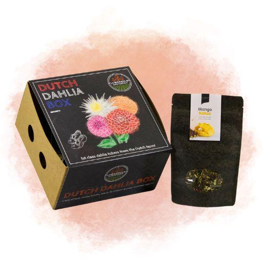 Flowerbulbs Amsterdam - Dahlia Box M, set van 4 dahlia's + Sophie &Philou Mango Kokos Thee