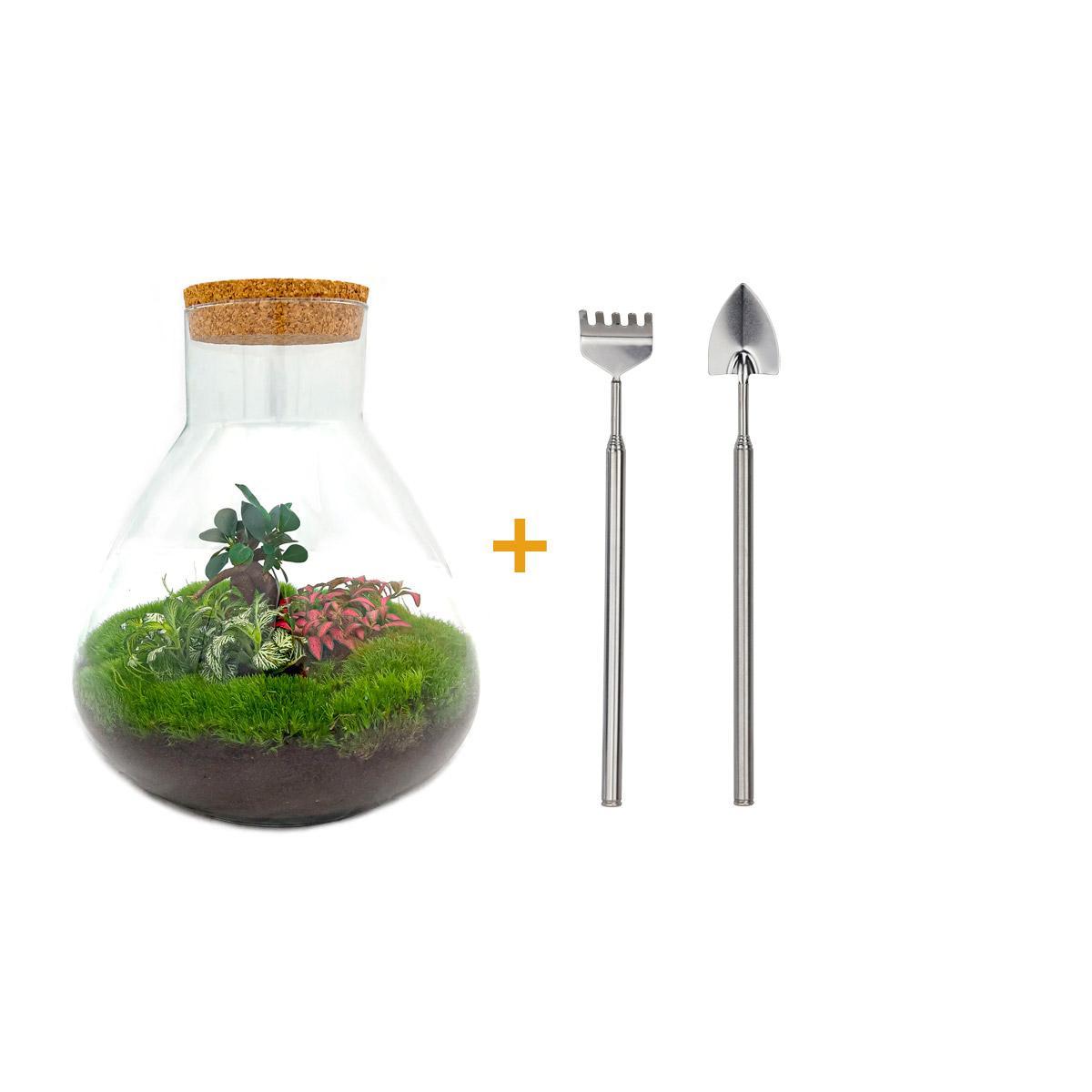 DHZ terrarium - Sam XL Bonsai - ↕ 35 cm - Hark + Schop + Pincet + Schaar