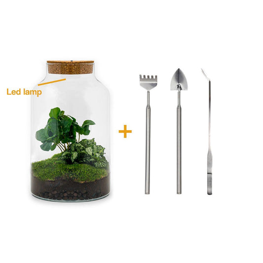 DHZ terrarium - Milky Coffea met lamp - ↕ 31 cm - Hark + Schop + Pincet