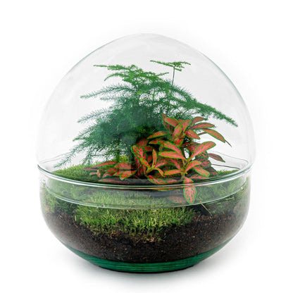 DHZ terrarium - Koepel Rood - ↕ 20 cm - Hark + Schop + Pincet + Schaar