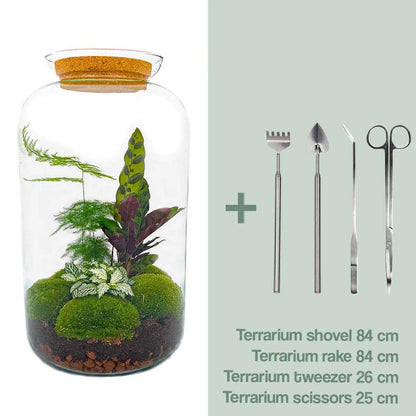 DHZ terrarium - Botanische Sven XL - ↕ 43 cm - Hark + Schop + Pincet + Schaar