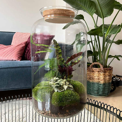 DHZ terrarium - Botanisch Sven XL - ↕ 43 cm - Hark + Schop + Pincet